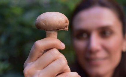 It's hoped the project will reduce plastics in the fungiculture industry. Image: Adobe A woman, who's face is out of focus, holds a mushroom head towards the camera